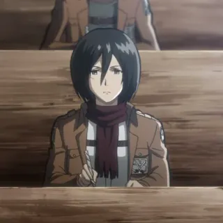 🥀 Mikasa Ackerman Attack on Titan anime, manga, attack on titan, mikasa ackerman, soldier telegram sticker