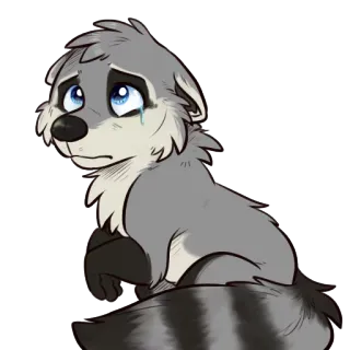 😰 raccoon, sad, crying, cartoon, animal, cute whatsapp sticker