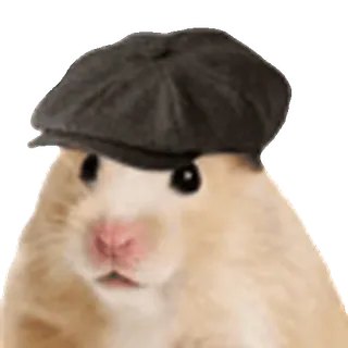 🐹