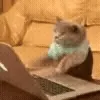 💻