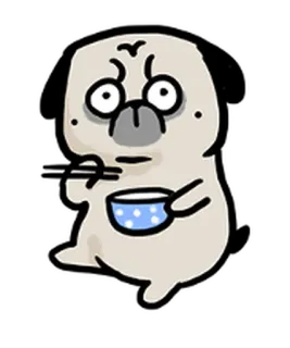 🥺 chó pug, chó, ăn, bát, đũa, hoạt hình, động vật telegram sticker