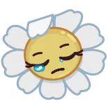 😔 bunga, sedih, menangis, daisy, kartun whatsapp sticker