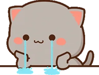😭 고양이, 울음, 슬픈, 눈물, 귀여운, 동물, 만화 whatsapp sticker