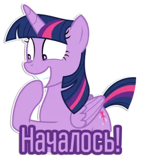 😁 Twilight Sparkle My Little Pony Началось! My Little Pony, Twilight Sparkle, Pony, Cartoon, Lila Pony telegram sticker