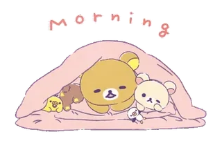 🎀 Morning imut, mengantuk, beruang, pagi, kartun telegram sticker