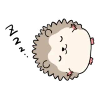 💤 erizo, animal, lindo, kawaii, dibujo animado, pegatina, durmiendo, feliz telegram sticker