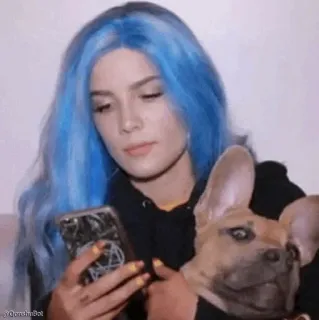 🐶 Frau, Hund, blaue Haare, Selfie, Handy, Casual telegram sticker