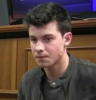 😕 Shawn Mendes person, singer, celebrity, portrait, male telegram sticker