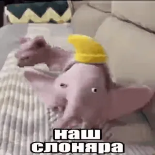 🐘 наш слоняра éléphant, chapeau, rose, jouet, mignon whatsapp sticker