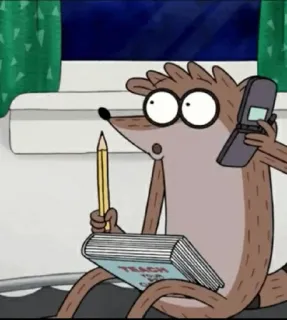 👾 Rigby Regular Show TEACH YOURSELF SPANISH cartoon, tv show, animated, learning, spanish, education whatsapp sticker
