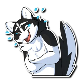 🤣 Husky, Hund, Cartoon, lachend, weinend, fell, Pelzig telegram sticker
