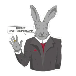 👋 ПРИВЕТ КРИПТОВЕРУЮЩИМ coniglio, completo, cripto, saluto, russo, criptovaluta whatsapp sticker