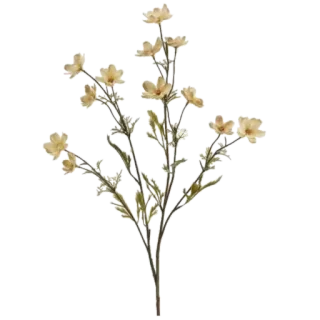 🌾 flor, floral, planta, naturaleza telegram sticker
