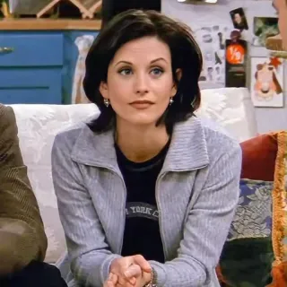 😐 Monica Geller Friends NEW YORK monica, geller, friends, série tv, sitcom, personnage, new york whatsapp sticker