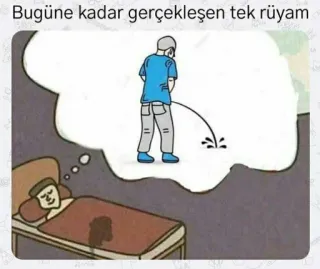 🤔 Bugüne kadar gerçekleşen tek rüyam dream, pee, bedwetting, sleep, night, illustration whatsapp sticker