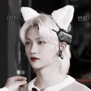 🍩  (격한 반응) Idol Kpop, Felix, Stray Kids, Orelhas de raposa, Idol, Masculino telegram sticker