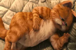😢 Garfield cat, orange cat, cartoon cat, laying down, sleeping, Garfield telegram sticker