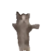 😺