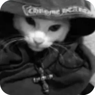 ❤ cat Chrome Hearts whatsapp sticker