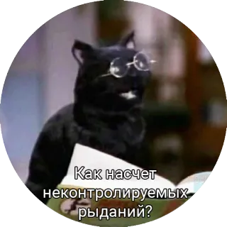 Кот Салем telegram stickers