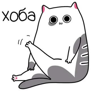 🦵 хова แมว, น่ารัก, สัตว์, สติกเกอร์, รัสเซีย telegram sticker