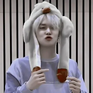 🌟 persona, sombrero pato, kpop, divertido, sombrero, selfie telegram sticker
