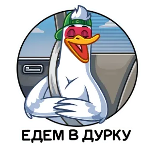 🚘 ЕДЕМ В ДУРКУ 鸭子, 驾驶, 搞笑, 贴纸, 帽子 telegram sticker