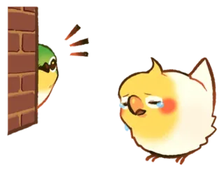 😟 oiseau, triste, pleurs, mur, dessin animé, autocollant whatsapp sticker