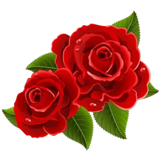 💜 roses, red roses, flowers, nature, love, romantic, floral telegram sticker