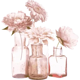 🌸 цветы, вазы, цветочная композиция, акварель, ботанический, розовый, герберы, пионы telegram sticker