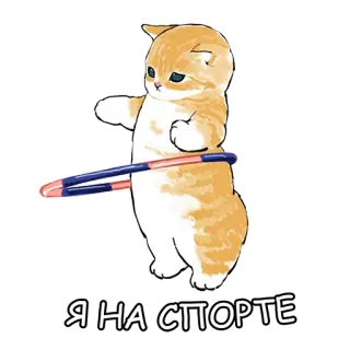 💪 Я на спорте 猫, 呼啦圈, 运动, 运动 whatsapp sticker