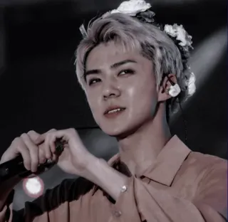 🌑 Sehun sehun, kpop, exo, singer, idol, actor, flowers telegram sticker