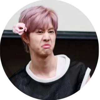 ☹ careta, pessoa, flor, expressão, rosto, kpop, cantor telegram sticker