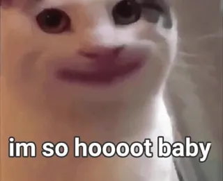 😍 im so hooooot baby cat, funny, meme, humor telegram sticker