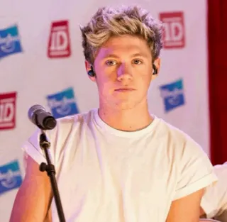 🥀 Niall Horan musician, singer, celebrity, one direction, niall horan telegram sticker