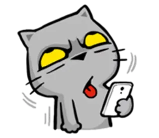 😲 Katze, Cartoon, wütend, Handy, süß whatsapp sticker