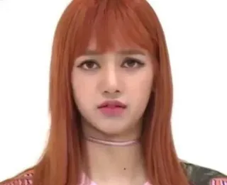 🥂 Lisa orang, wanita, potret, selebriti, kpop, penyanyi telegram sticker