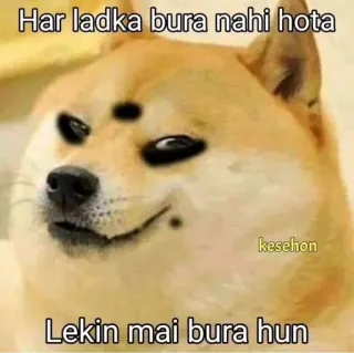 🌟 Doge Internet Meme Har ladka bura nahi hota Lekin mai bura hun doge, meme, funny, relatable, humor, hindi, dog telegram sticker