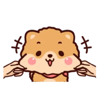 😃 pies, słodki, kreskówka, zwierzę telegram sticker