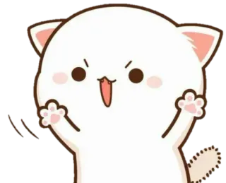 😆 cat, sticker, cute, animal telegram sticker