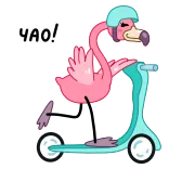 👋 ЧАО! นกฟลามิงโก, สกู๊ตเตอร์, สวัสดี, นก telegram sticker