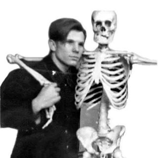 💀 skeleton, anatomy, man, bones, medical, education telegram sticker