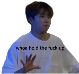 🙃 whoa hold the fuck up 밈, 웃긴, 표정, K팝 whatsapp sticker