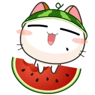 😄 猫, スイカ, 可愛い, カワイイ telegram sticker