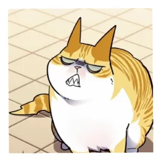 😡 Katze, wütend, Cartoon, Meme, lustig, Tier, Ausdruck telegram sticker
