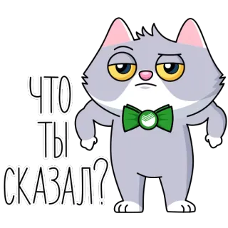 😠 ЧТО ТЫ СКАЗАЛ? кот, русский, стикер, животное, вопрос, фраза telegram sticker