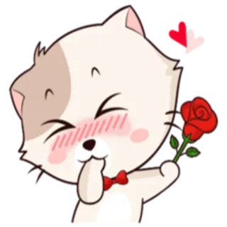 🌹 chat, rose, amour, coeur, mignon, animal, romantique, dessin animé telegram sticker