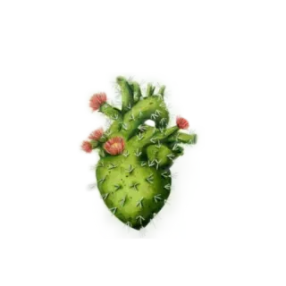 🌵 cactus, heart, nature, prickly, plant, succulent, floral telegram sticker