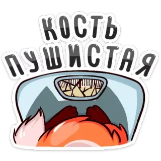 😲 КОСТЬ ПУШИСТАЯ лиса, животное, смешной, вес, весы, кость, пушистый telegram sticker
