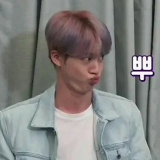 🦆 뿌 kpop, 진, bts, 웃긴 얼굴, 뿌우, 가수 whatsapp sticker